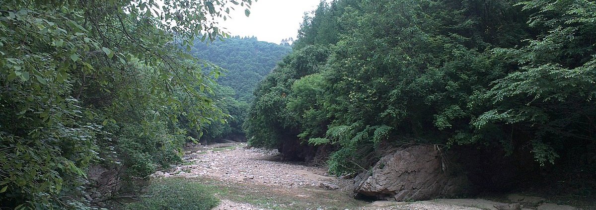 In larch and broad-leaf forests, nitrogen deposition has no significant impact on soil chemistry. Photo: olive jion ATTRIBUTION-SHAREALIKE 3.0 UNPORTED CC BY-SA 3.0 Deed