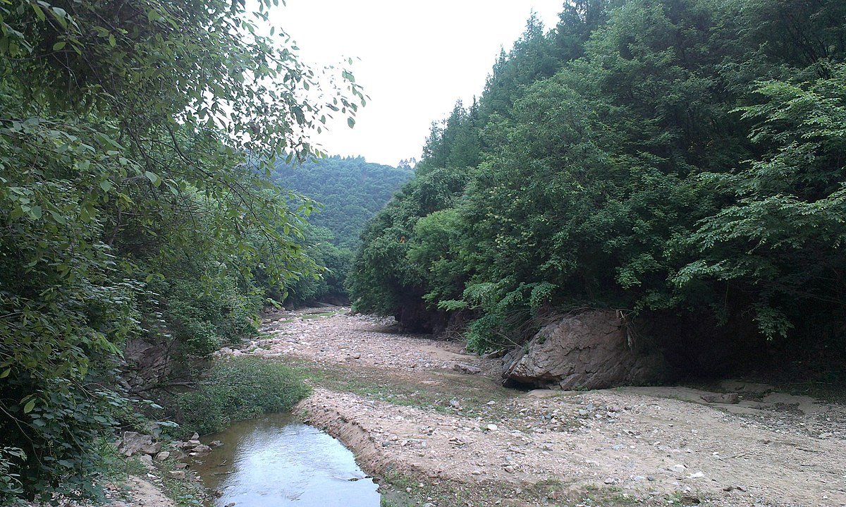 Nelle foreste di larici e latifoglie la deposizione di azoto non impatta in modo significativo sulla chimica del terreno. Foto: olive jion ATTRIBUTION-SHAREALIKE 3.0 UNPORTED CC BY-SA 3.0 Deed