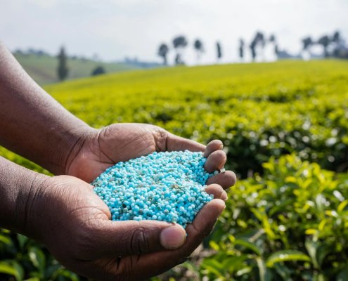 Mineral phosphate fertilisers show the presence of toxic metals, a phenomenon that is widespread worldwide. Photo: Antony Trivet, Pexels.com All photos and videos on Pexels can be downloaded and used for free.