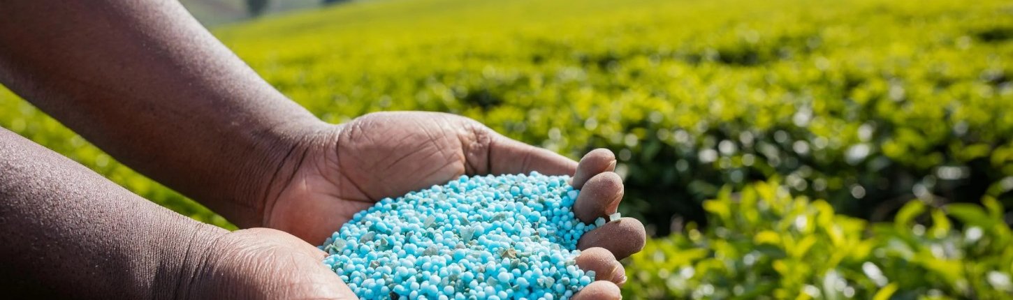 I fertilizzanti a base di fosfati minerali evidenziano la presenza di metalli tossici, un fenomeno diffuso in tutto il mondo. Foto: Antony Trivet, Pexels.com All photos and videos on Pexels can be downloaded and used for free