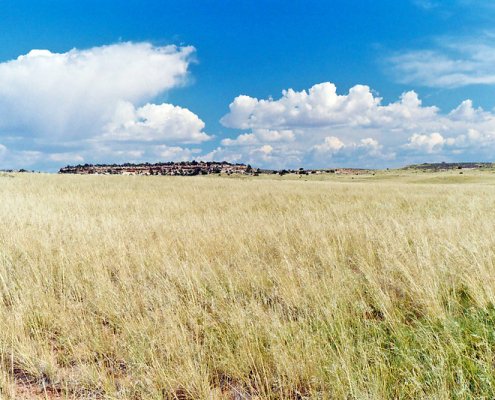 Driven by climate and agricultural activities, the greatest soil loss in the United States has occurred mainly in the Central Great Plains, on slopes and in cultivated soils. Photo: Steven Martin ATTRIBUTION-NONCOMMERCIAL-NODERIVS 2.0 GENERIC CC BY-NC-ND 2.0 Deed