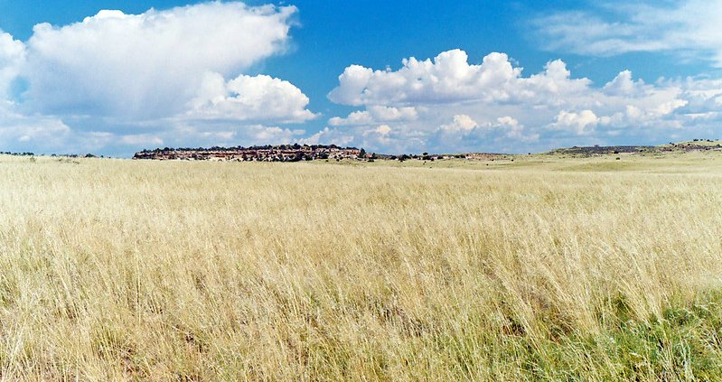 Driven by climate and agricultural activities, the greatest soil loss in the United States has occurred mainly in the Central Great Plains, on slopes and in cultivated soils. Photo: Steven Martin ATTRIBUTION-NONCOMMERCIAL-NODERIVS 2.0 GENERIC CC BY-NC-ND 2.0 Deed