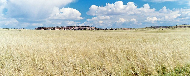 Sulla spinta del clima e delle attività agricole, la perdita più rilevante di suolo negli Stati Uniti si è verificata soprattutto nelle Grandi Pianure Centrali, sui pendii e nei suoli coltivati. Foto: Steven Martin ATTRIBUTION-NONCOMMERCIAL-NODERIVS 2.0 GENERIC CC BY-NC-ND 2.0 Deed