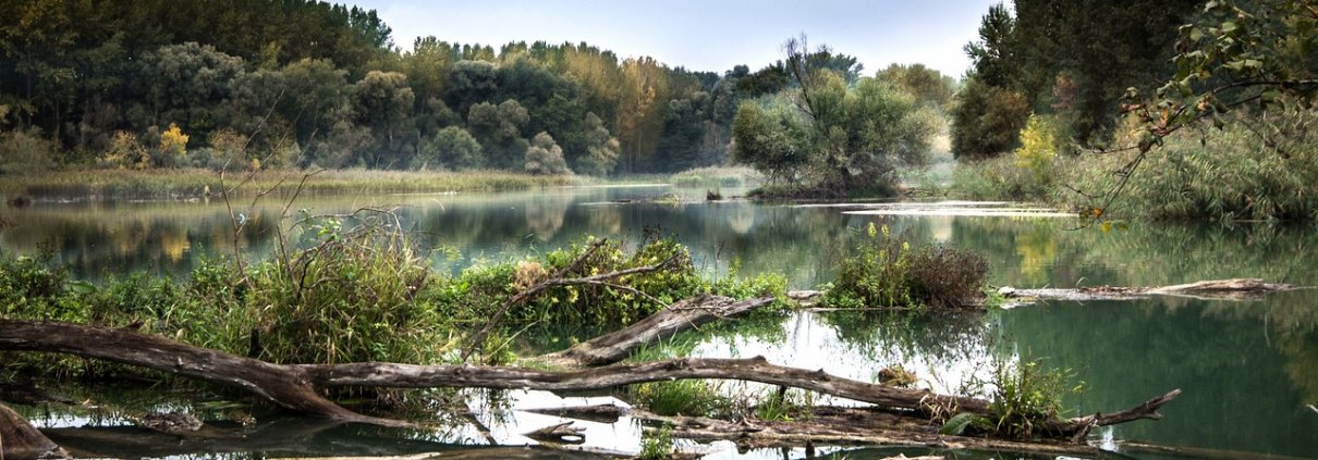 Le attività del Nature Positive Network si concentreranno inizialmente nel Distretto del Po, un'area nella quale si generano il 40% del Pil nazionale, il 55% della produzione idroelettrica e il 35% della produzione agricola italiana. FOTO: Lubos Houska da Pixabay