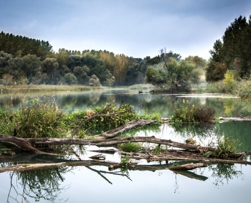 Le attività del Nature Positive Network si concentreranno inizialmente nel Distretto del Po, un'area nella quale si generano il 40% del Pil nazionale, il 55% della produzione idroelettrica e il 35% della produzione agricola italiana. FOTO: Lubos Houska da Pixabay