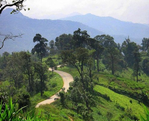 L'altipiano di Chiang Mai in Thailandia è una delle aree analizzate dai ricercatori dell'università inglese di Warwick per verificare l'impatto della presenza delle comunità locali sulla tutela delle aree naturali dal rischio incendi. FOTO: Takeway - CC 3.0.