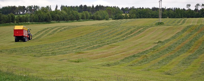 In Norvegia il fosforo ha un ruolo centrale nell’agricoltura e nell’acquacoltura nazionale. Foto: Tjukka2 ATTRIBUTION-NONCOMMERCIAL-SHAREALIKE 2.0 GENERIC CC BY-NC-SA 2.0 Deed
