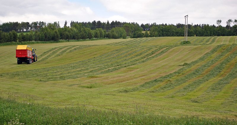 In Norvegia il fosforo ha un ruolo centrale nell’agricoltura e nell’acquacoltura nazionale. Foto: Tjukka2 ATTRIBUTION-NONCOMMERCIAL-SHAREALIKE 2.0 GENERIC CC BY-NC-SA 2.0 Deed