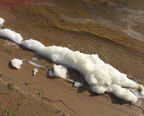 Found in the foams of many products, PFAS are persistent substances in the soil and hard to eliminate. Photo: Michigan Department of Environment, Great Lakes, and Energy ATTRIBUTION-NONCOMMERCIAL-NODERIVS 2.0 GENERIC CC BY-NC-ND 2.0 Deed