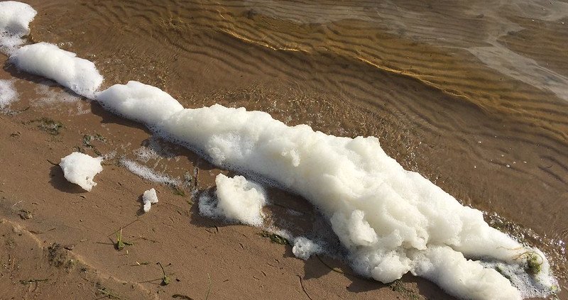 Found in the foams of many products, PFAS are persistent substances in the soil and hard to eliminate. Photo: Michigan Department of Environment, Great Lakes, and Energy ATTRIBUTION-NONCOMMERCIAL-NODERIVS 2.0 GENERIC CC BY-NC-ND 2.0 Deed