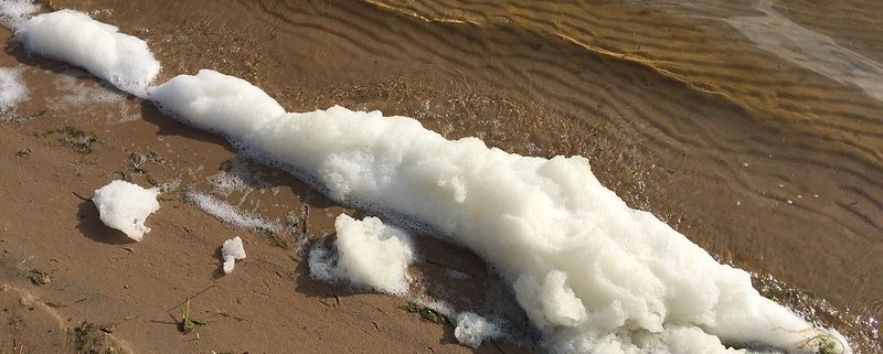 Presenti nelle schiume di molti prodotti, i PFAS sono sostanze persistenti nel suolo e difficili da eliminare. Foto: Michigan Department of Environment, Great Lakes, and Energy ATTRIBUTION-NONCOMMERCIAL-NODERIVS 2.0 GENERIC CC BY-NC-ND 2.0 Deed