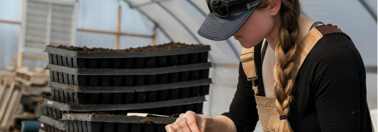 Per i risultati della bioeconomia italiana è stato determinante il settore agroalimentare con la sua propensione a innovazione di processo e al risparmio di materie prime. FOTO: Zoe Schaeffer, Unsplash