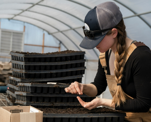 Per i risultati della bioeconomia italiana è stato determinante il settore agroalimentare con la sua propensione a innovazione di processo e al risparmio di materie prime. FOTO: Zoe Schaeffer, Unsplash