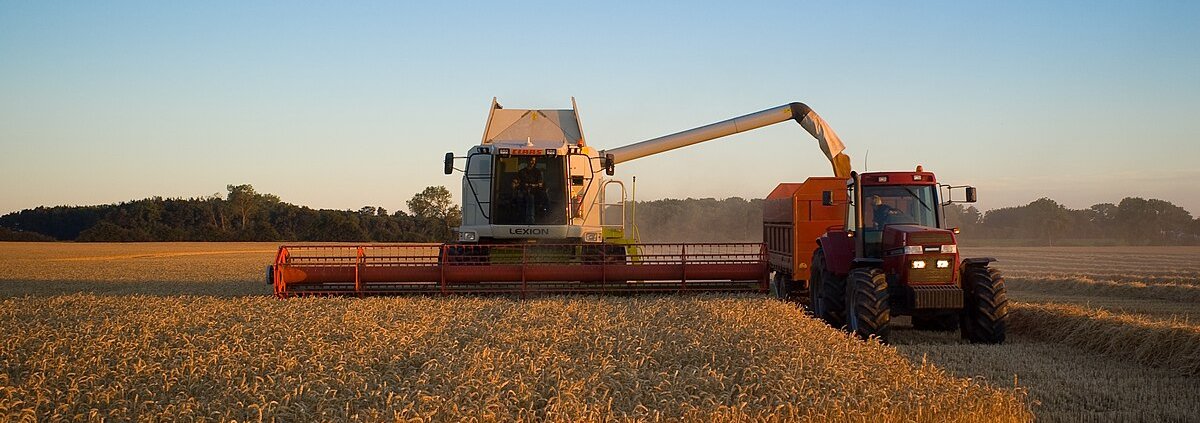 Il sostegno al biochar è parte del piano del governo di Copenaghen per la mitigazione delle emissioni di CO2 nel settore agricolo da qui al 2030. Foto: Lars Plougmann ATTRIBUTION-SHAREALIKE 2.0 GENERIC CC BY-SA 2.0 Deed