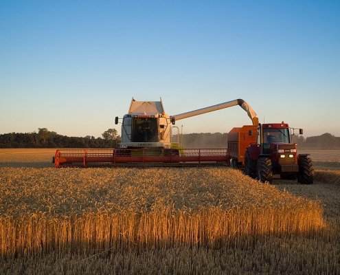 Il sostegno al biochar è parte del piano del governo di Copenaghen per la mitigazione delle emissioni di CO2 nel settore agricolo da qui al 2030. Foto: Lars Plougmann ATTRIBUTION-SHAREALIKE 2.0 GENERIC CC BY-SA 2.0 Deed