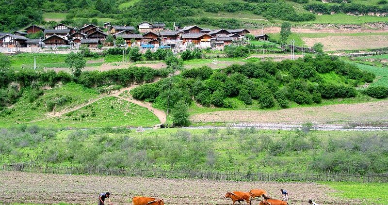 The soil organic carbon survey was conducted in the forests of the Wanglang Nature Reserve in Sichuan Province, southeast of the Tibetan Plateau. Photo: Philippe Semanaz ATTRIBUTION-SHAREALIKE 2.0 GENERIC CC BY-SA 2.0 Deed