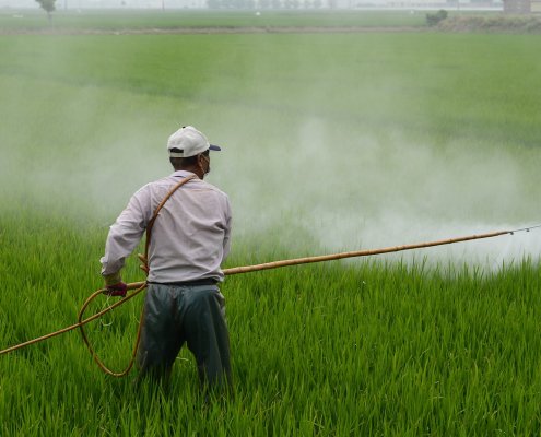 L'alleanza FARM sotto la guida UNEP avrà il compito di ridurre l'inquinamento agrochimico causato da plastiche e pesticidi. FOTO: zefe wu da Pixabay