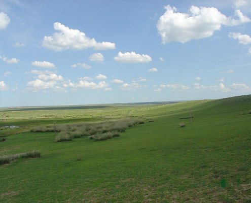 In futuro, dice il modello basato sui batteri, l'area delle praterie caratterizzata da terreni alcalini si espanderà. Foto: Shizhao Attribution-ShareAlike 3.0 Unported CC BY-SA 3.0 Deed