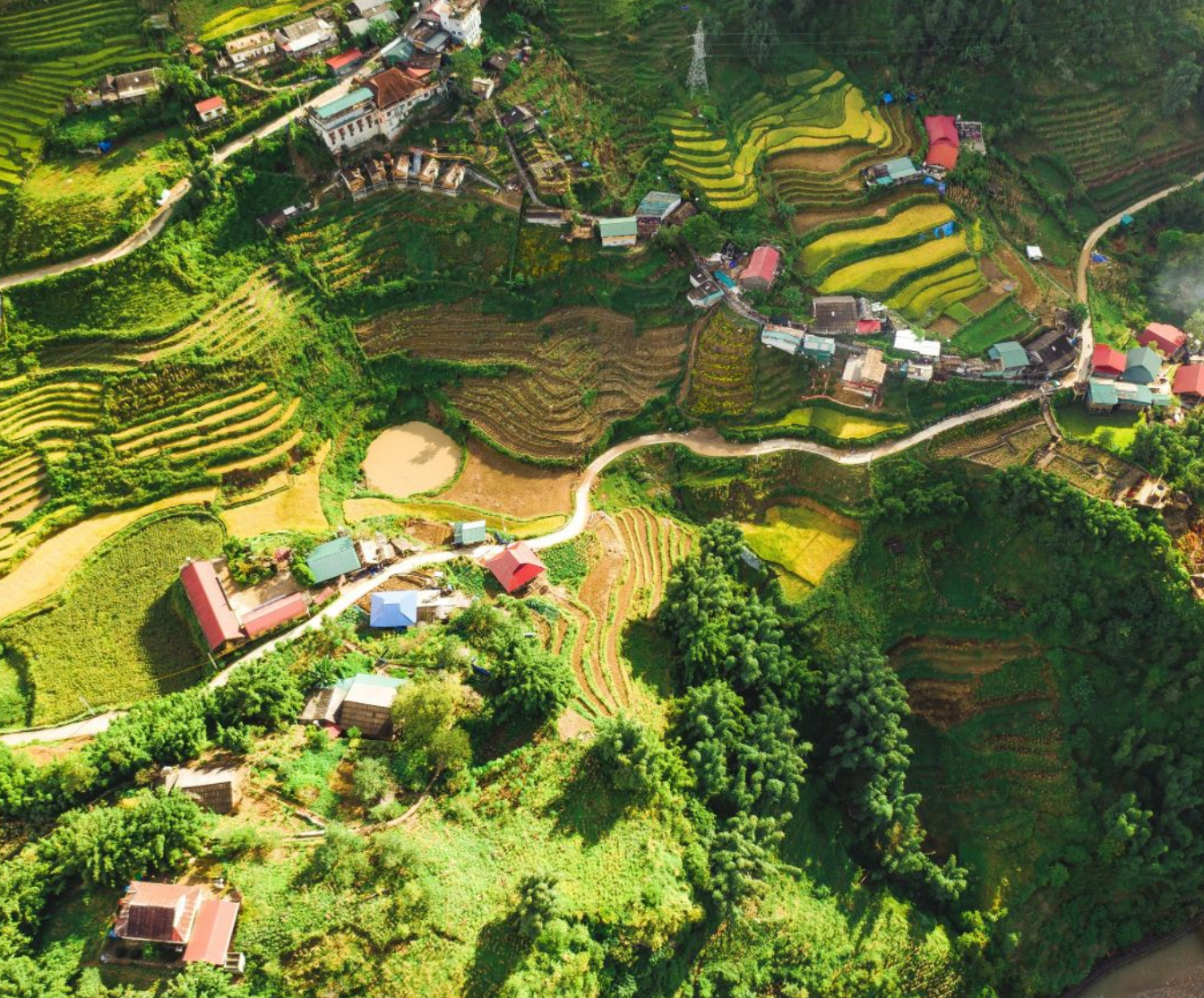 L'agroecologia può aiutare a correggere le storture dei sistemi alimentari attuali. FOTO: Krisztian Tabori, Unsplash