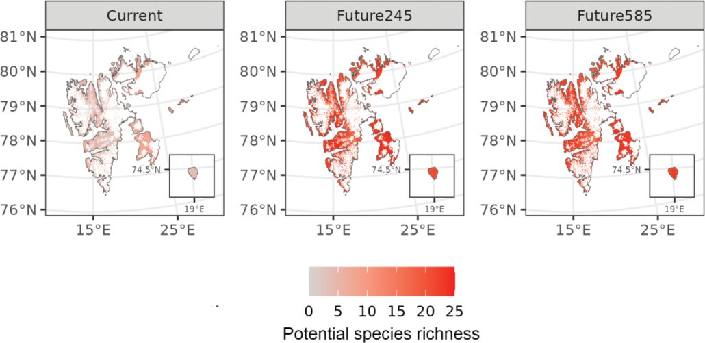 298 / 5.000 Ricchezza potenziale di specie di piante vascolari non autoctone in tutto lo Svalbard in base agli scenari climatici attuali e a due scenari climatici futuri. FONTE: Speed JDM, Pertierra LR, Westergaard KB (2024) The potential area of occupancy of non-native plants across a warming high-Arctic archipelago: Implications for strategic biosecurity management. NeoBiota 93: 157-175. https://doi.org/10.3897/neobiota.93.114854 