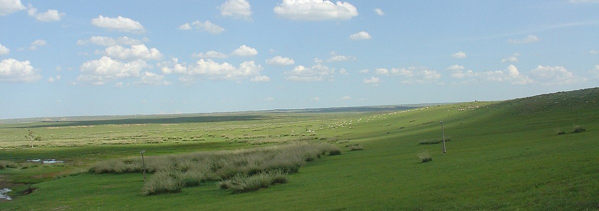 In the future, says the bacteria-based model, the area of grasslands characterised by alkaline soils will expand. Photo: Shizhao Attribution-ShareAlike 3.0 Unported CC BY-SA 3.0 Deed