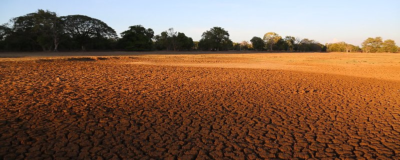 In some Asian countries, the frequency of flash drought events has increased from 20% to 80%. Photo: Bioversity International/S.Landersz ATTRIBUTION-NONCOMMERCIAL-NODERIVS 2.0 GENERIC CC BY-NC-ND 2.0 Deed