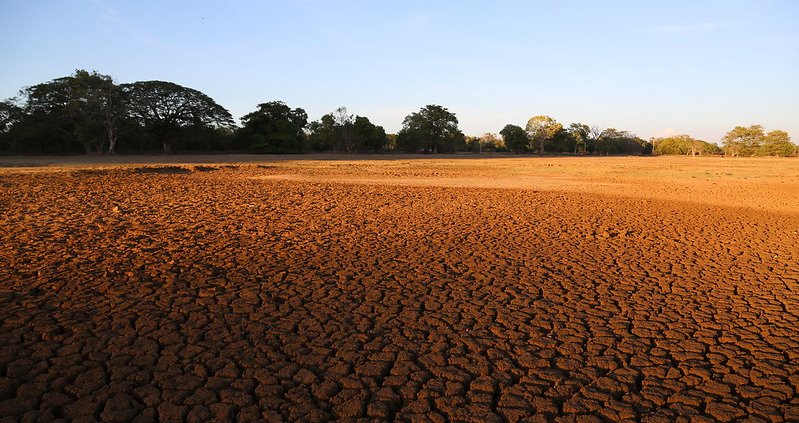 In some Asian countries, the frequency of flash drought events has increased from 20% to 80%. Photo: Bioversity International/S.Landersz ATTRIBUTION-NONCOMMERCIAL-NODERIVS 2.0 GENERIC CC BY-NC-ND 2.0 Deed