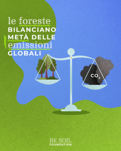 resoil foreste sequestro carbonio