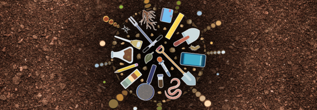 Il Simposio globale sulle informazioni e i dati sul suolo (GSID24), co-organizzato dalla Food and Agriculture Organization, dalla sua Global Soil Partnership e dall'Institute of Soil Science, Chinese Academy of Sciences (ISSCAS), si terrà a Nanchino, Cina, dal 25 al 28 settembre 2024.