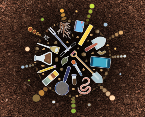 Il Simposio globale sulle informazioni e i dati sul suolo (GSID24), co-organizzato dalla Food and Agriculture Organization, dalla sua Global Soil Partnership e dall'Institute of Soil Science, Chinese Academy of Sciences (ISSCAS), si terrà a Nanchino, Cina, dal 25 al 28 settembre 2024.