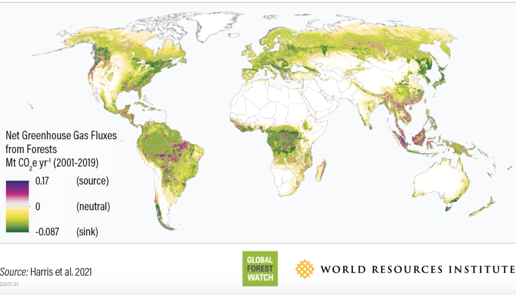 Flussi netti di gas serra dalle foreste mondiali. Periodo 2001-2019. FONTE: Global Forest Watch.