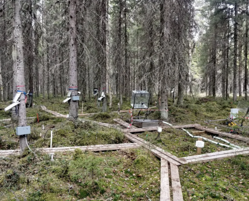 I dispositivi di monitoraggio del progetto Holisoils aiuteranno a comprendere l'influenza del suolo nella capacità di sequestro di carbonio delle foreste europee. FOTO: Archivio Holisoils
