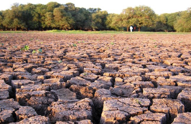 Despite being responsible for less than 4% of global carbon emissions, Africa is highly exposed to climate change. Photo: Viktor Pinčuk Attribution-ShareAlike 4.0 International CC BY-SA 4.0 Deed