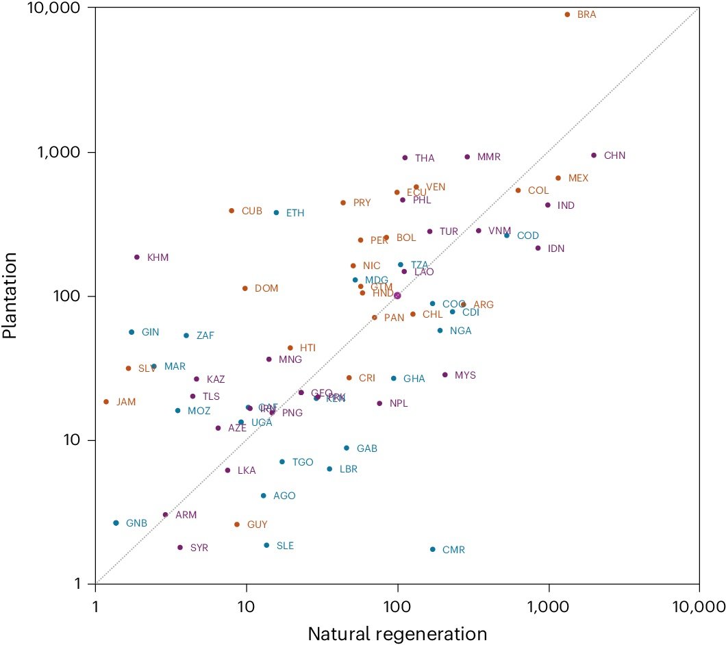 Potenziale di abbattimento applicando il metodo di riforestazione più conveniente in ciascun sito, al di sotto di 50 dollari per tonnellata CO2, per Paese (MtCO2). I dati si riferiscono a 138 Paesi a basso e medio reddito; 30 anni; attualizzazione al 5%; 2020 US$. Americhe, arancione; Africa, blu; Asia, viola. scala log-log. Busch, J., Bukoski, J.J., Cook-Patton, S.C. et al. Cost-effectiveness of natural forest regeneration and plantations for climate mitigation. Nat. Clim. Chang. (2024). https://doi.org/10.1038/s41558-024-02068-1 Open access