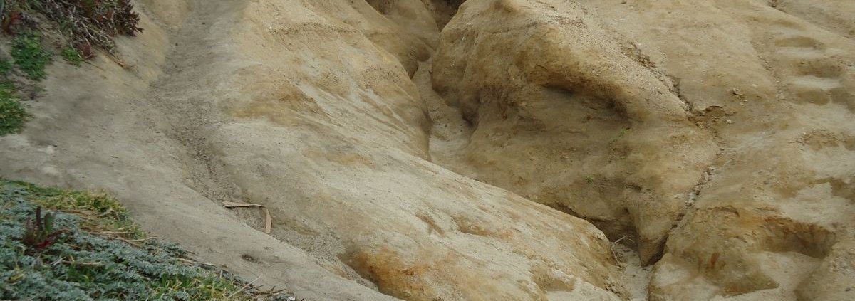 In California il tasso di erosione dopo le inondazioni post-incendio è aumentato in una misura compresa tra 3,5 e 4,6 volte. Foto: Tomwsulcer CC0 1.0 Universal CC0 1.0 Deed