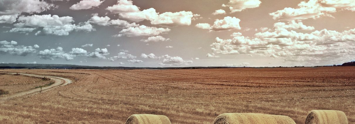 Secondo il World Weather Attribution, senza gli effetti del riscaldamento causato dalle attività umane, il livello di siccità su Sicilia e Sardegna non sarebbe stato classificato come “estremo”. FOTO: Pxhere, Creative Commons CC0.