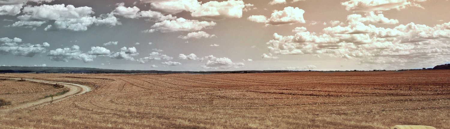 Secondo il World Weather Attribution, senza gli effetti del riscaldamento causato dalle attività umane, il livello di siccità su Sicilia e Sardegna non sarebbe stato classificato come “estremo”. FOTO: Pxhere, Creative Commons CC0.