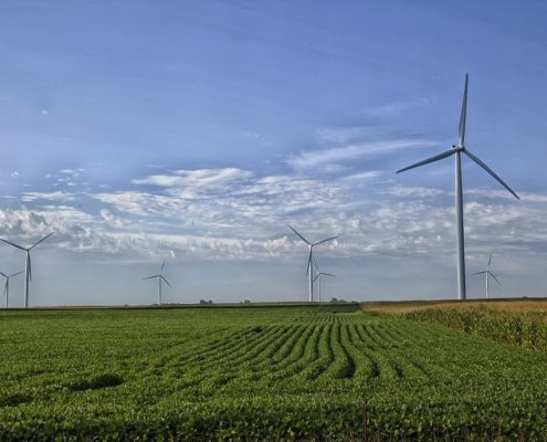 New instruments are being developed in Missouri to detect soil nutrients quickly, reliably and inexpensively. Photo: pxhere CC0 1.0 Universal CC0 1.0 Deed