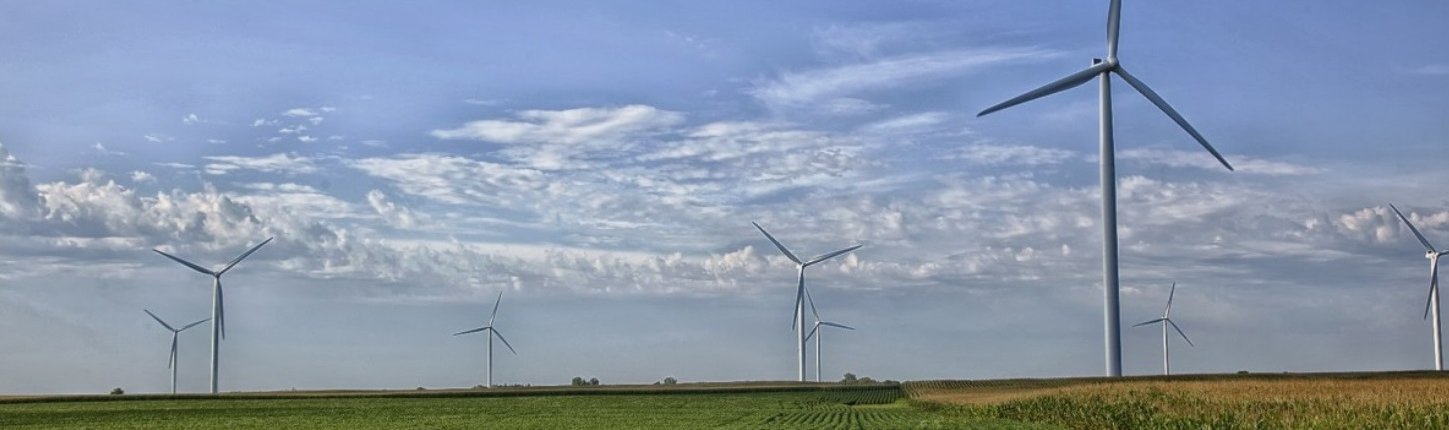 Nel Missouri si stanno studiando nuovi strumenti per rilevare i nutrienti del suolo in modo rapido, affidabile ed economico. Foto: pxhere CC0 1.0 Universal CC0 1.0 Deed