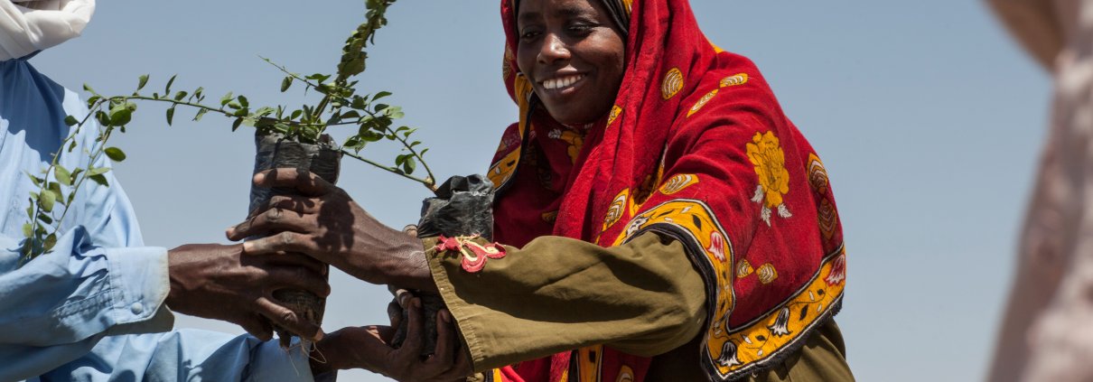 Le donne producono fino all'80% del cibo nei Paesi in via di sviluppo ma rappresentano meno del 20% di chi possiede la terra. Foto: AMPLED, UNCCD Press Office