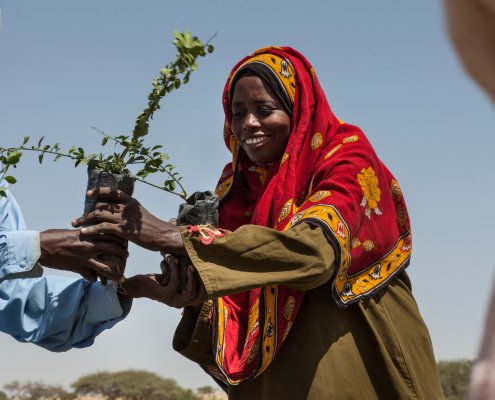 Le donne producono fino all'80% del cibo nei Paesi in via di sviluppo ma rappresentano meno del 20% di chi possiede la terra. Foto: AMPLED, UNCCD Press Office