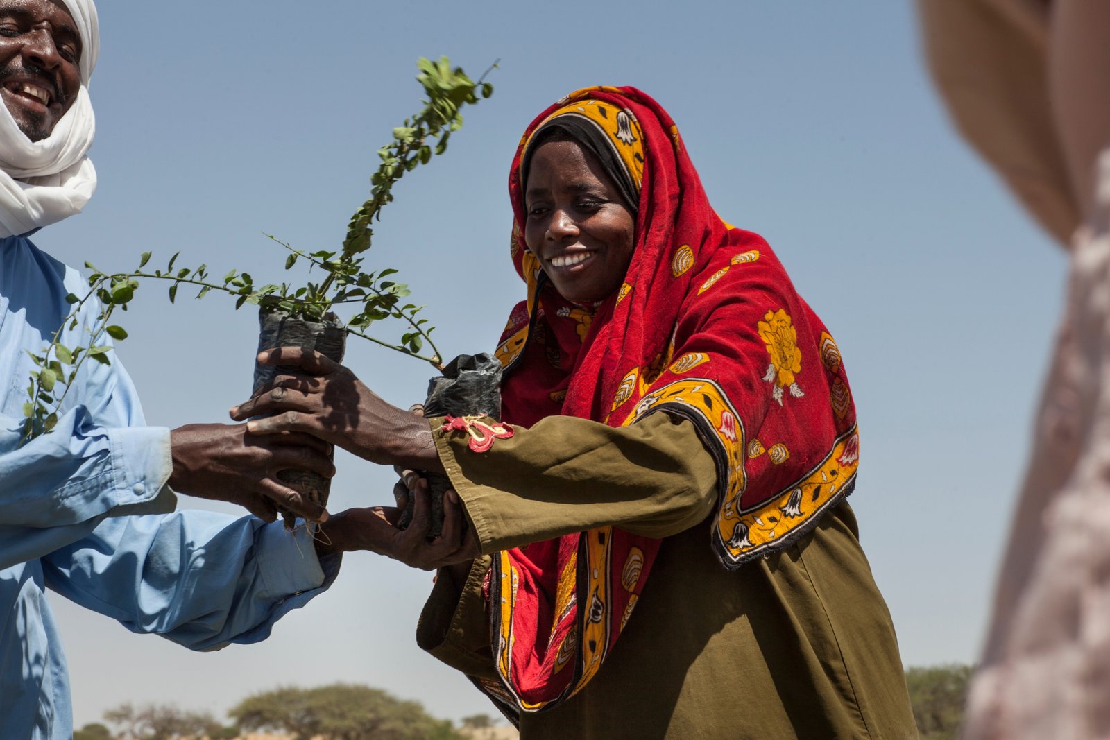 Le donne producono fino all'80% del cibo nei Paesi in via di sviluppo ma rappresentano meno del 20% di chi possiede la terra. Foto: AMPLED, UNCCD Press Office