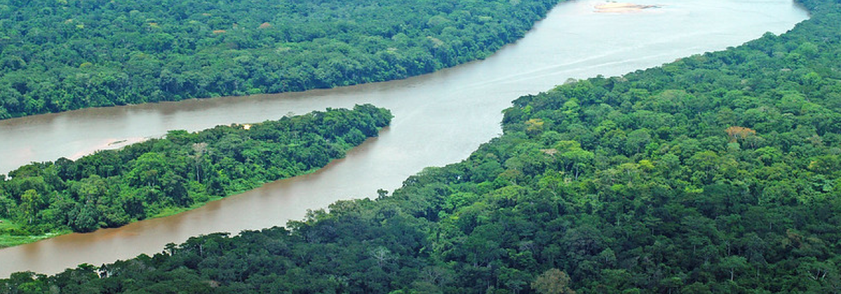 Il Parco nazionale Dzanga-Ndoki e la riserva forestale speciale densa Dzanga-Sangha all'interno della foresta pluviale nella parte sud-occidentale della Repubblica Centrafricana, nel bacino del Congo. FOTO: GRID-Arendal via flickr