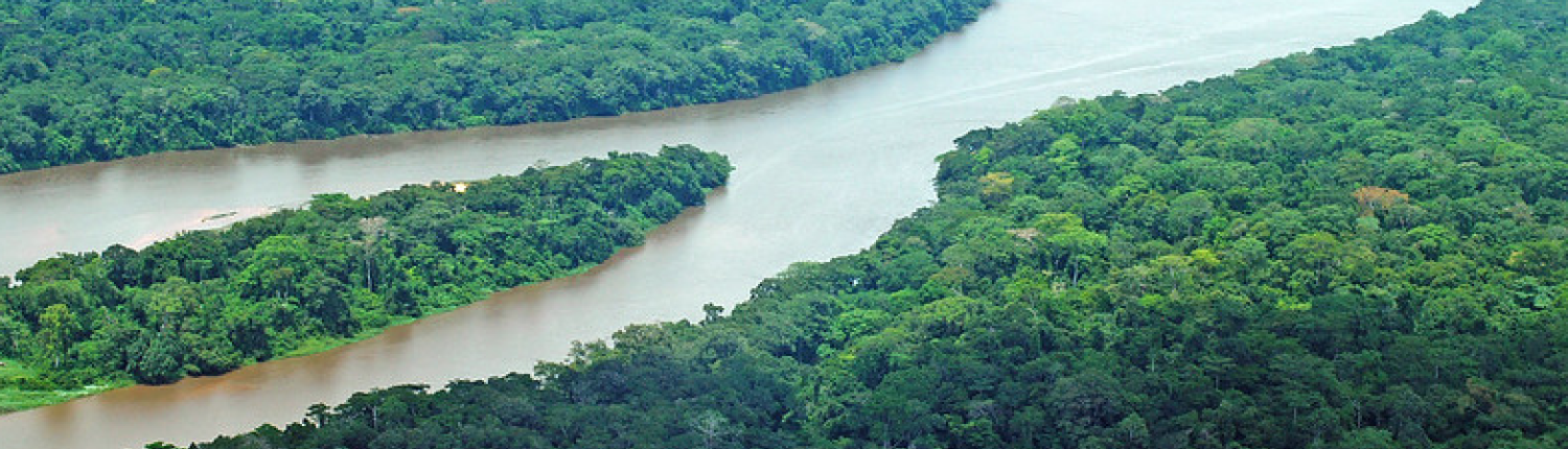 Il Parco nazionale Dzanga-Ndoki e la riserva forestale speciale densa Dzanga-Sangha all'interno della foresta pluviale nella parte sud-occidentale della Repubblica Centrafricana, nel bacino del Congo. FOTO: GRID-Arendal via flickr