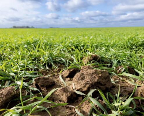 Il nuovo rapporto sullo Stato dei suoli in Europa segnala dati in peggioramento su erosione idrica, squilibrio dei nutrienti e perdita di sostanza organica. FOTO: EU, 2023.