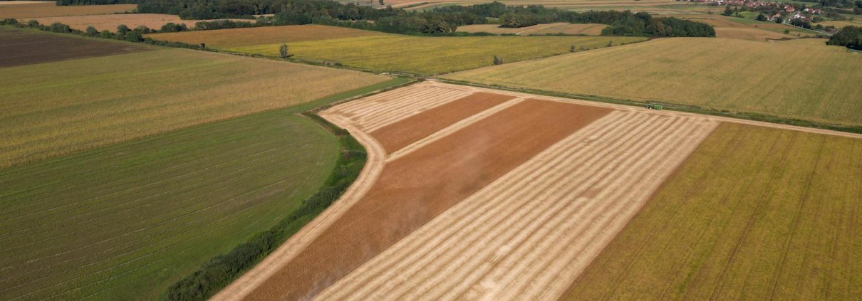 According to the EEA, farmers can help protect biodiversity by regenerating ecosystems through good practices. Photo: Vladimir Srajber pexels