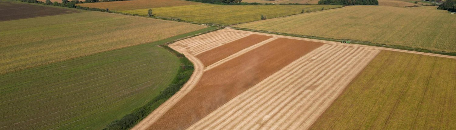 According to the EEA, farmers can help protect biodiversity by regenerating ecosystems through good practices. Photo: Vladimir Srajber pexels