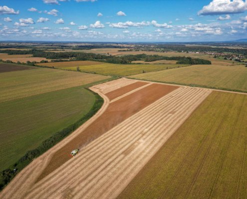 Secondo l'EEA gli agricoltori possono contribuire a tutelare la biodiversità rigenerando gli ecosistemi attraverso le buone pratiche. Foto: Vladimir Srajber pexels Free to use