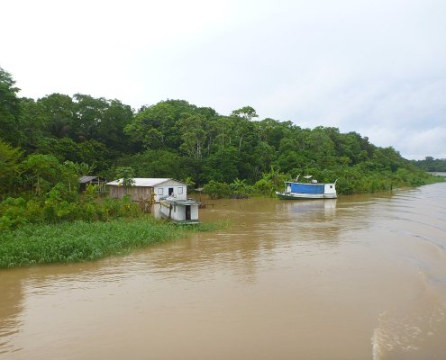 Amazonian floodplains contribute up to 29% of global wetland methane emissions. Photo: Marcelo Castro Attribution 3.0 Unported CC BY 3.0 Deed