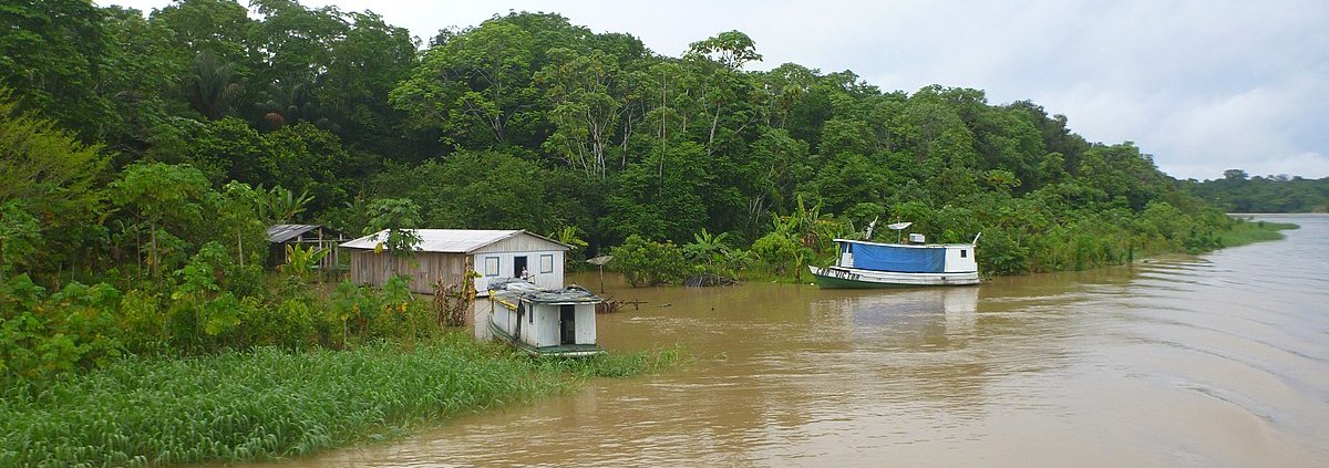 Le pianure alluvionali dell'Amazzonia contribuiscono fino al 29% delle emissioni globali di metano delle zone umide. Foto: Marcelo Castro Attribution 3.0 Unported CC BY 3.0 Deed
